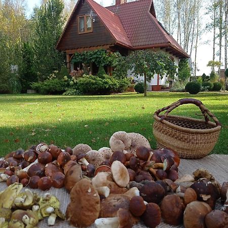 Siedlisko Gruszki Puszcza Bialowieska Narewka Экстерьер фото