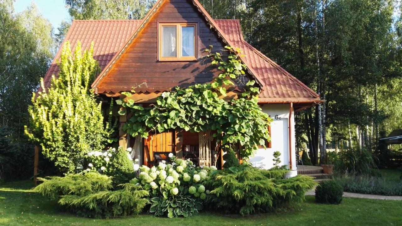 Siedlisko Gruszki Puszcza Bialowieska Narewka Экстерьер фото
