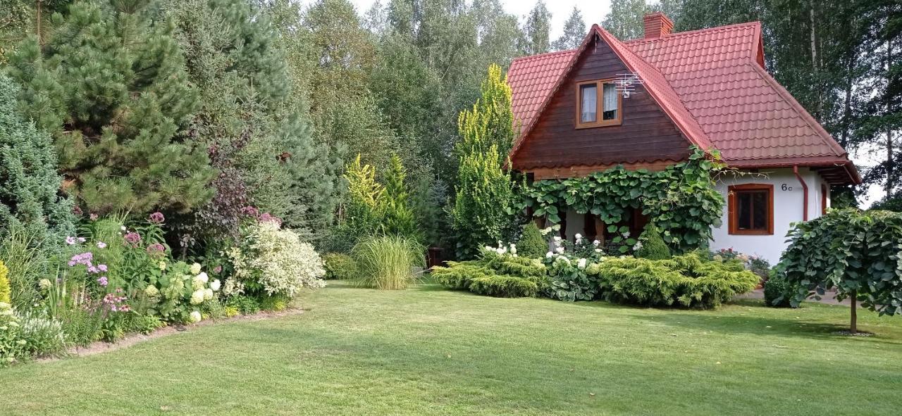 Siedlisko Gruszki Puszcza Bialowieska Narewka Экстерьер фото